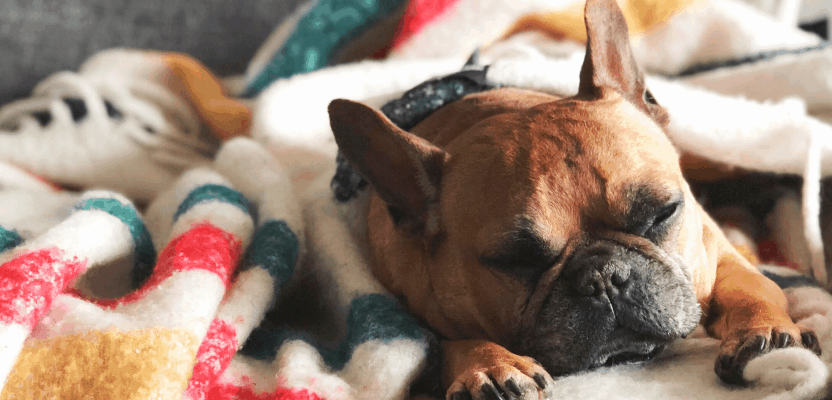 Sherpa fleece custom blanket review