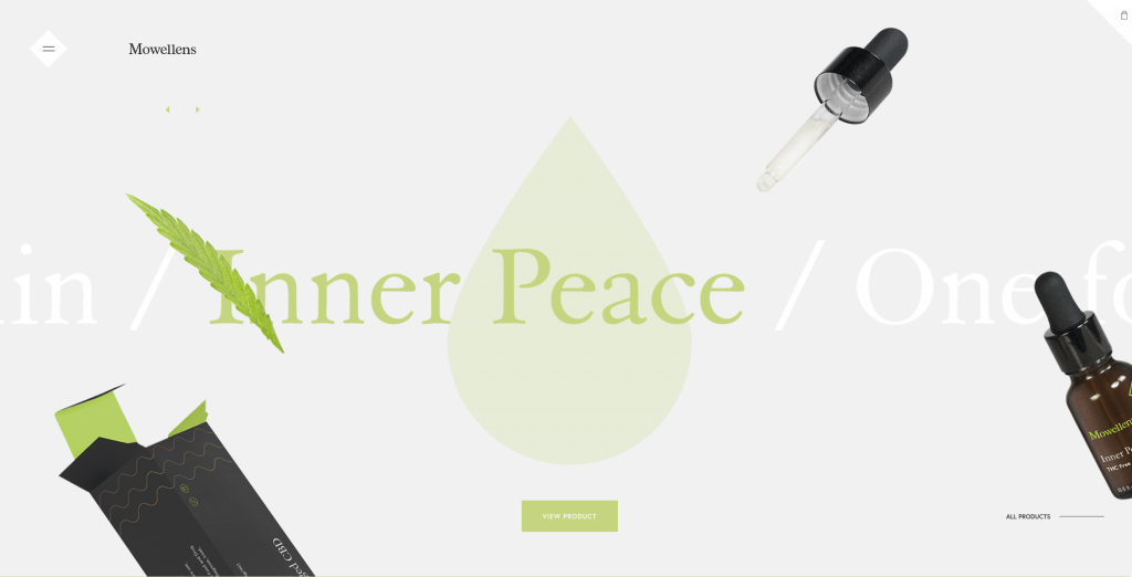 Great Example of eCommerce shop design that make money - Mowellens