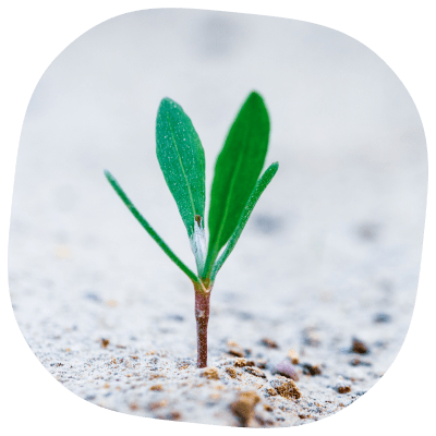 User-generated content | PODTips 3