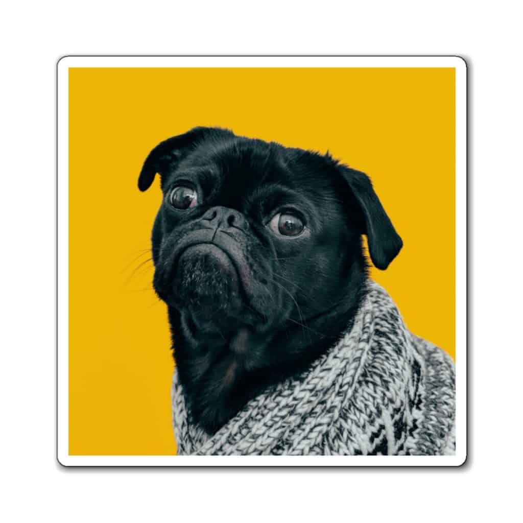 Trippy Pug Dog Wearing Music Equalizer Sunglasses - Pug Dog - Magnet