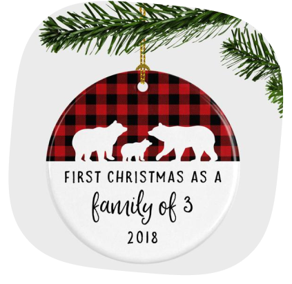 Christmas Ornaments First In Family Design 3