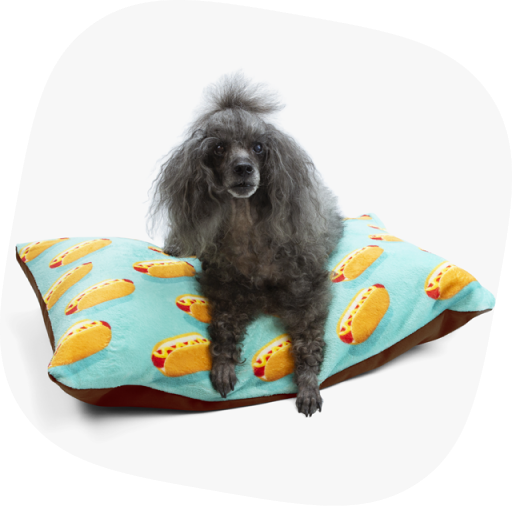 Personalised dog beds ebay sale