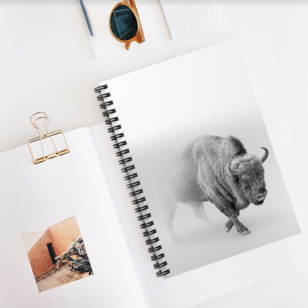 photography on a notebook