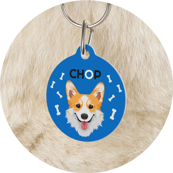 Create Your Own Custom Pet Tags No Money Upfront