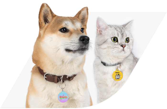 Custom Pet Tags
