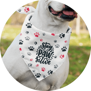 Create Personalized Custom Dog Bandanas – No Money Upfront