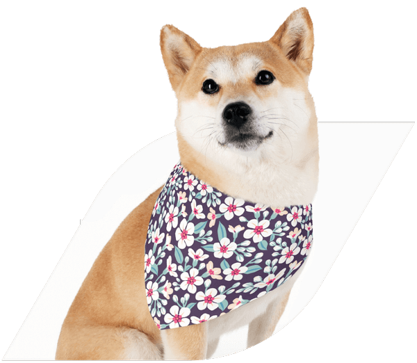 Download Create Personalized Custom Dog Bandanas No Money Upfront