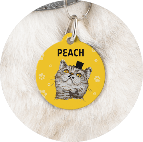 Create Your Own Custom Pet Tags - No Money Upfront