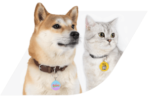 Create Your Own Custom Pet Tags - No Money Upfront