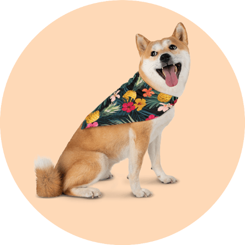 20 Print-on-Demand travel accessories for your online store - Pet bandana