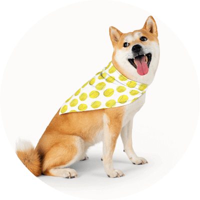 Summer Product Ideas Pet bandana Summer Product Ideas Pet bandana