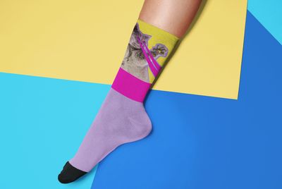Cat Socks Teaser