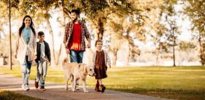 Family Business Ideas - Pet Business