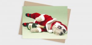 Funny Dog Christmas Cards