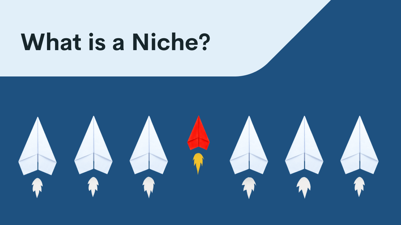 What is a Niche? 5 Examples of Print on Demand Niche Ideas