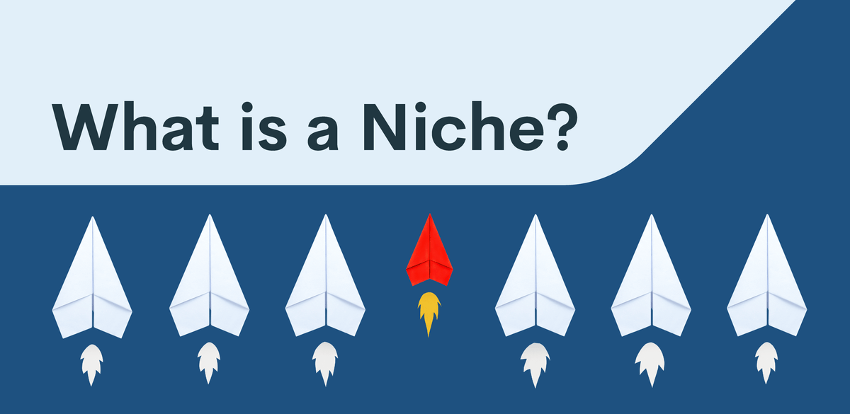 What Is a Niche? 5 Examples of Print on Demand Niche Ideas