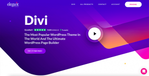 Best WooCommerce Themes for Your eCommerce Website Divi