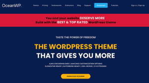 Best WooCommerce Themes for Your eCommerce Website Ocean WP