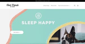 24 Examples of the Best Shopify Stores - Best Friends by Sheri