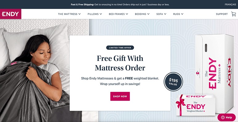 24 Examples of the Best Shopify Stores - Endy