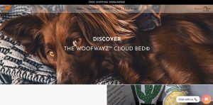 24 Examples of the Best Shopify Stores - WoofWayz