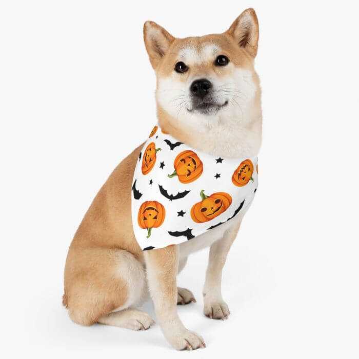 Top 15 Halloween Gift Ideas for 2022 - Halloween Pet Bandana Collars