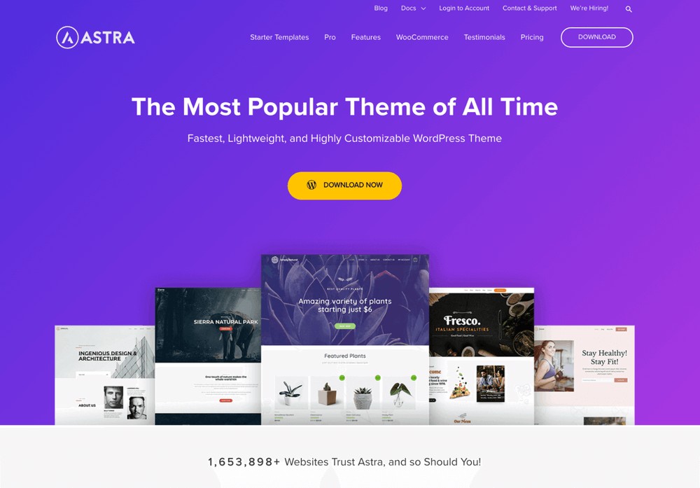 8 Themes Optimized for WooCommerce - Astra