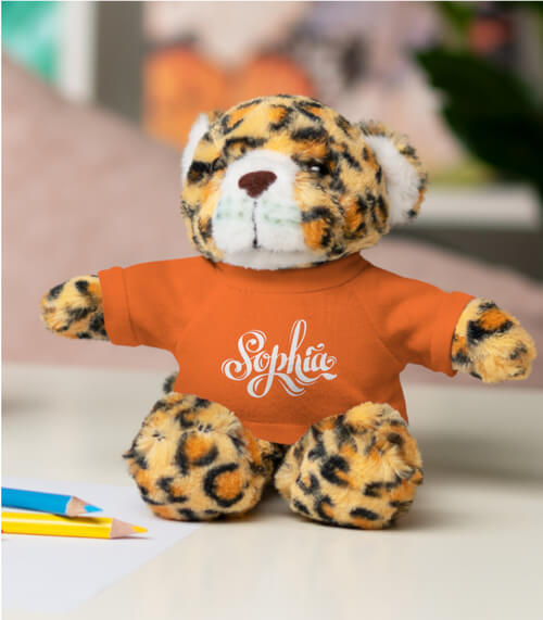 Print on Demand Small Plush Teddy Bear with Tee