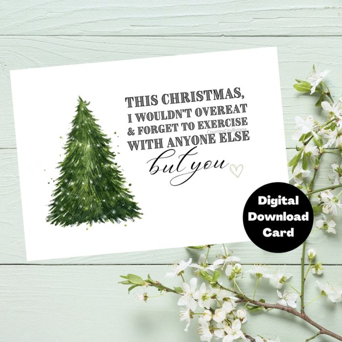 Funny Christmas Cards - Funny Couple Christmas Cards