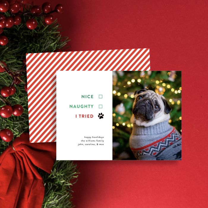Funny Christmas Cards - Funny Dog Christmas Cards