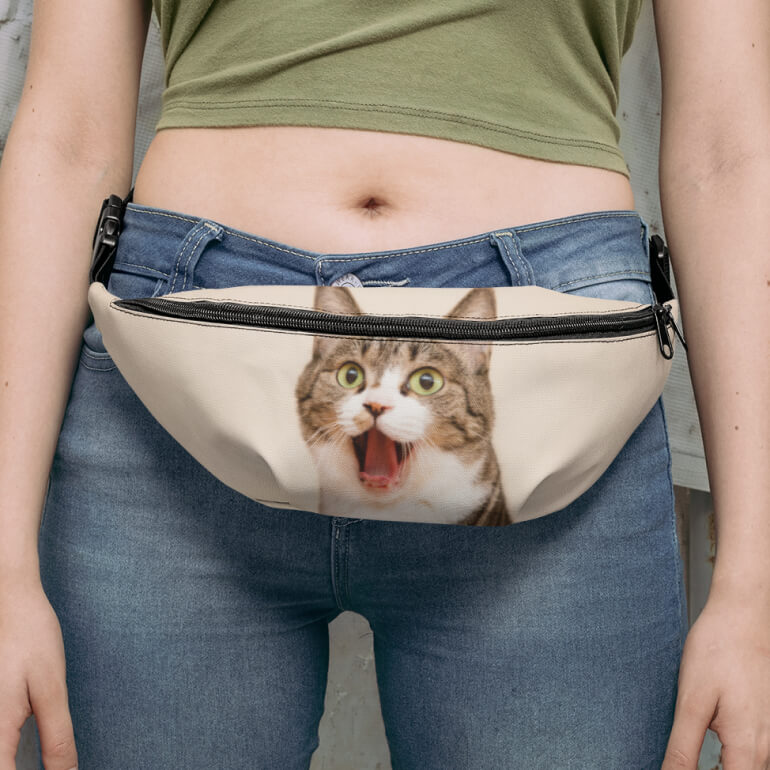 https://printify.com/wp-content/uploads/2022/10/Personalized-Fanny-Pack-With-Pet-Prints.jpg