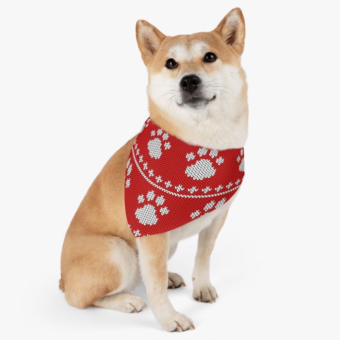 Top 20 Christmas Products to Sell in 2022 - Christmas Pet Costumes