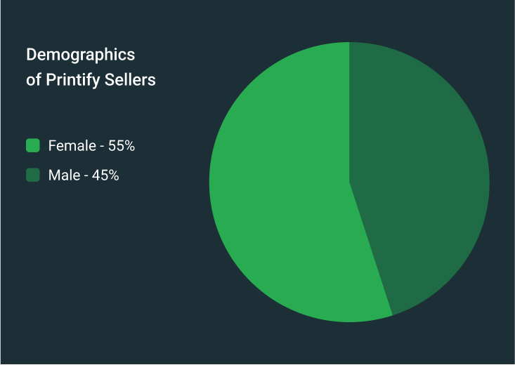 Demographics of Printify Sellers