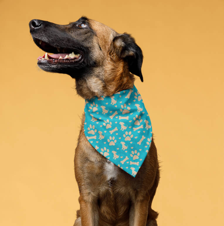 Custom made on sale dog bandanas