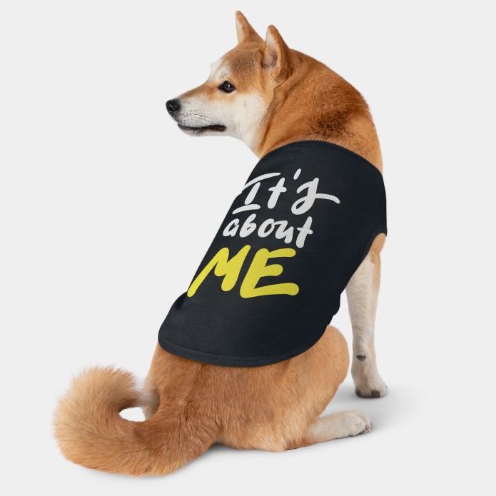 Birthday Shirt Designs for Pets
