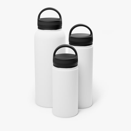 Stainless Steel Water Bottle, Handle Lid