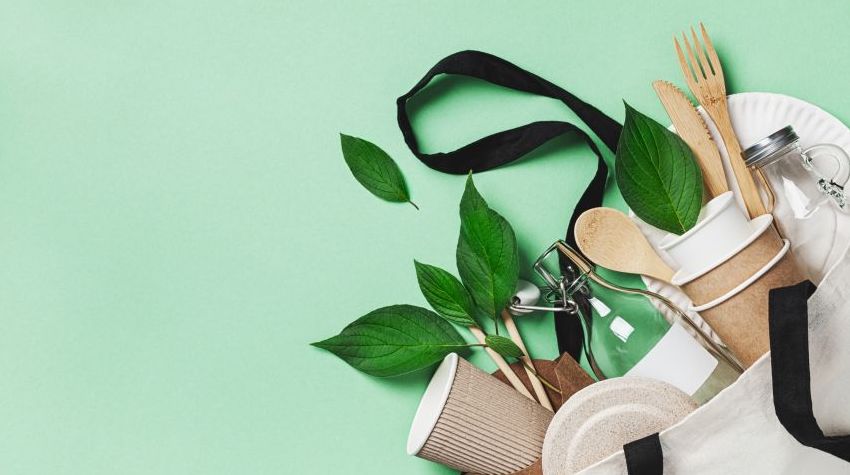 12 Dropshipping Business - Eco-Friendly Products