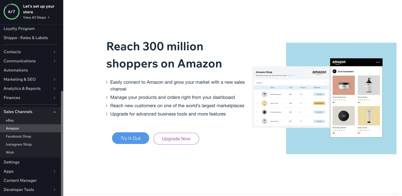 A screenshot of the Amazon app within Wix