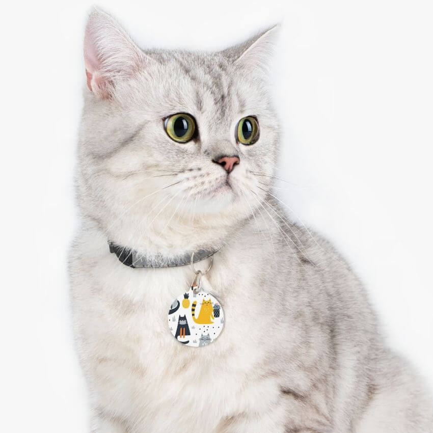 Adorable grey kitty wearing a pet collar with a pet tag with cartoon cats