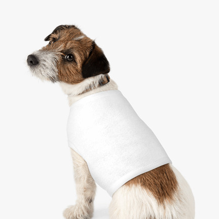 <a href="https://printify.com/app/products/571/doggie-skins/pet-tank-top" target="_blank" rel="noopener"><span style="font-weight: 400; color: #17262b; font-size:16px">Pet Tank Top</span></a>