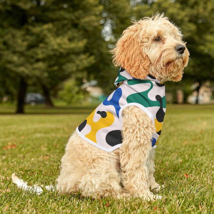 Shaggy beige dog wearing a dog hoodie in a yellow, blue and green abstract print