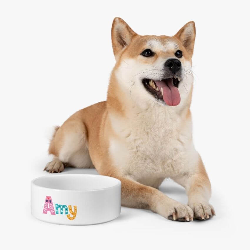 Shiba Inu dog laying besides a pet bowl with a name Amy on in