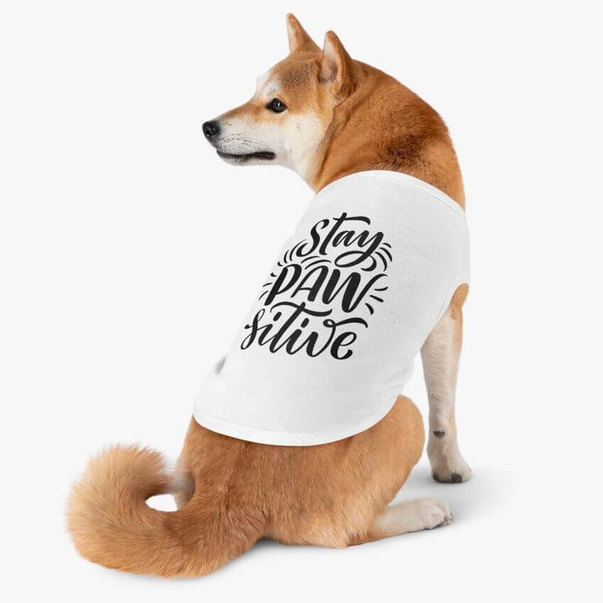 Shiba Inu wearing a dog t-shirt that says "Stay Paw-Sitive"