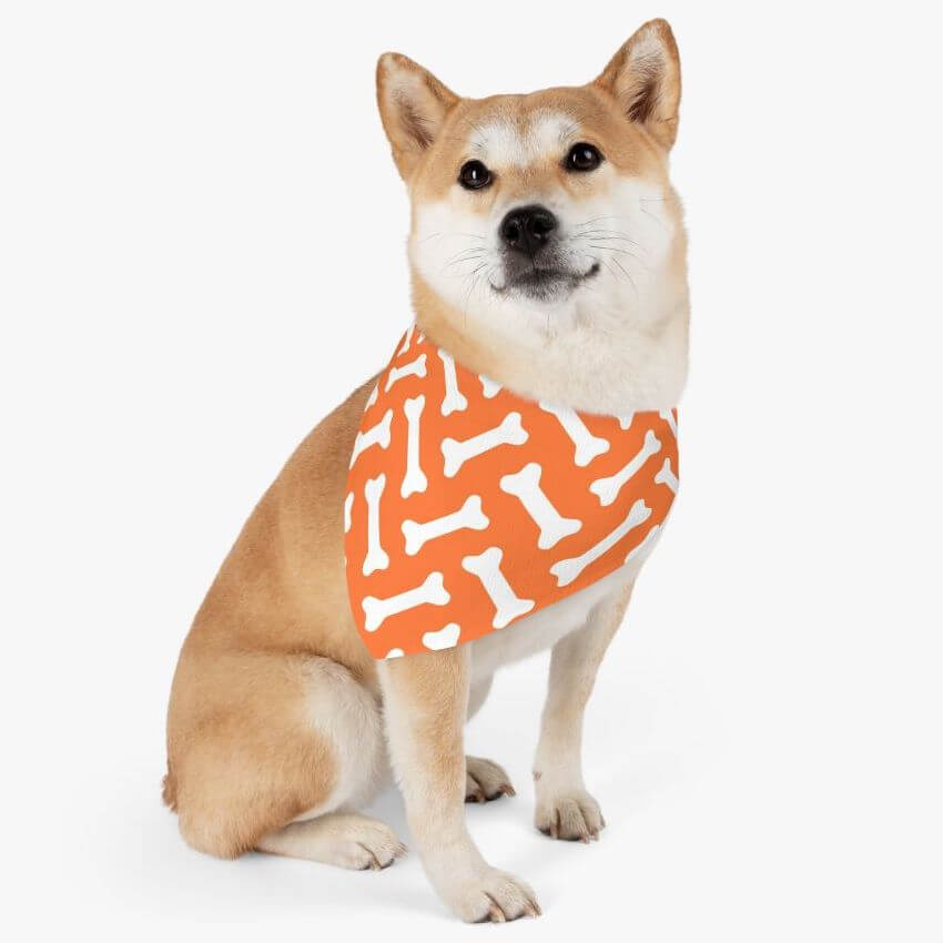 Shiba Inu wearing an orange pet bandana with bone pattern