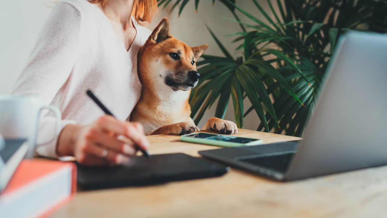 Do You Have a Community Water Bowl at Your Pet Business? 