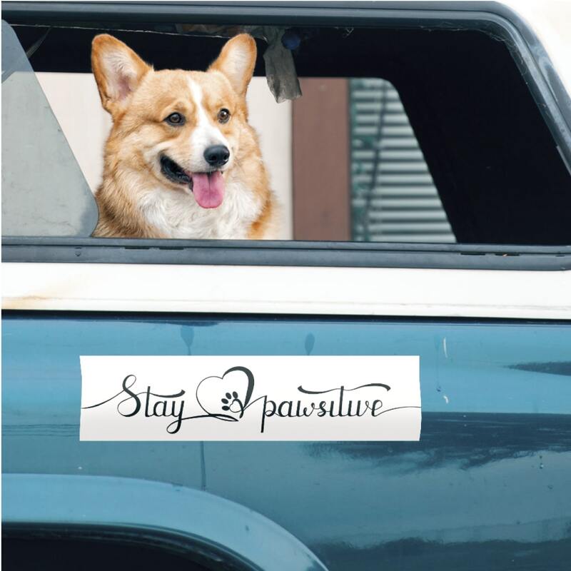 Car bumper sticker with the slogan "Stay pawsitive" underneath an excited dog looking through the passenger seat window.
