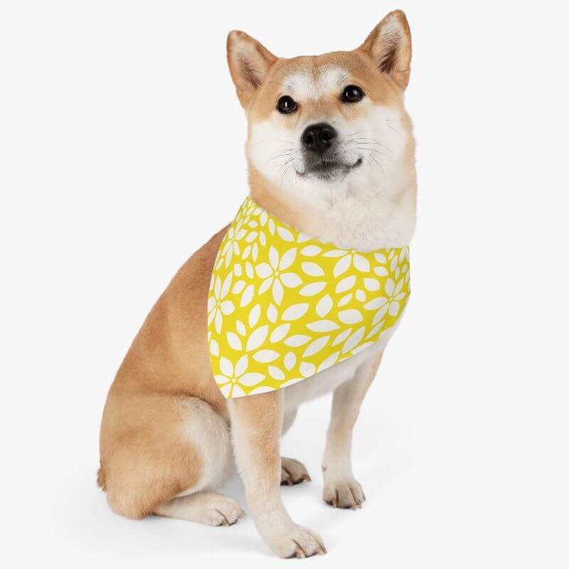 Summer Products to Sell - Pet Bandana Collar