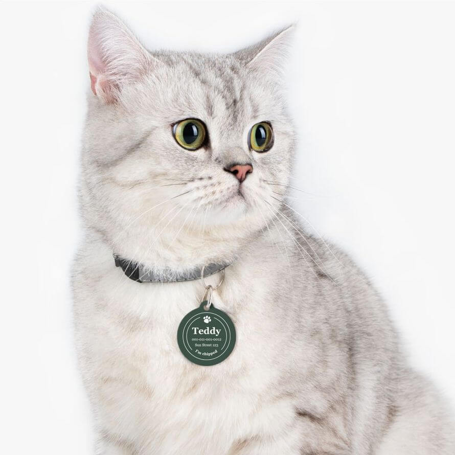 A cute, light grey cat wearing a cat collar with a forest green pet tag. The tag is adorned with the name 'Teddy' and a pet paw drawing above it.