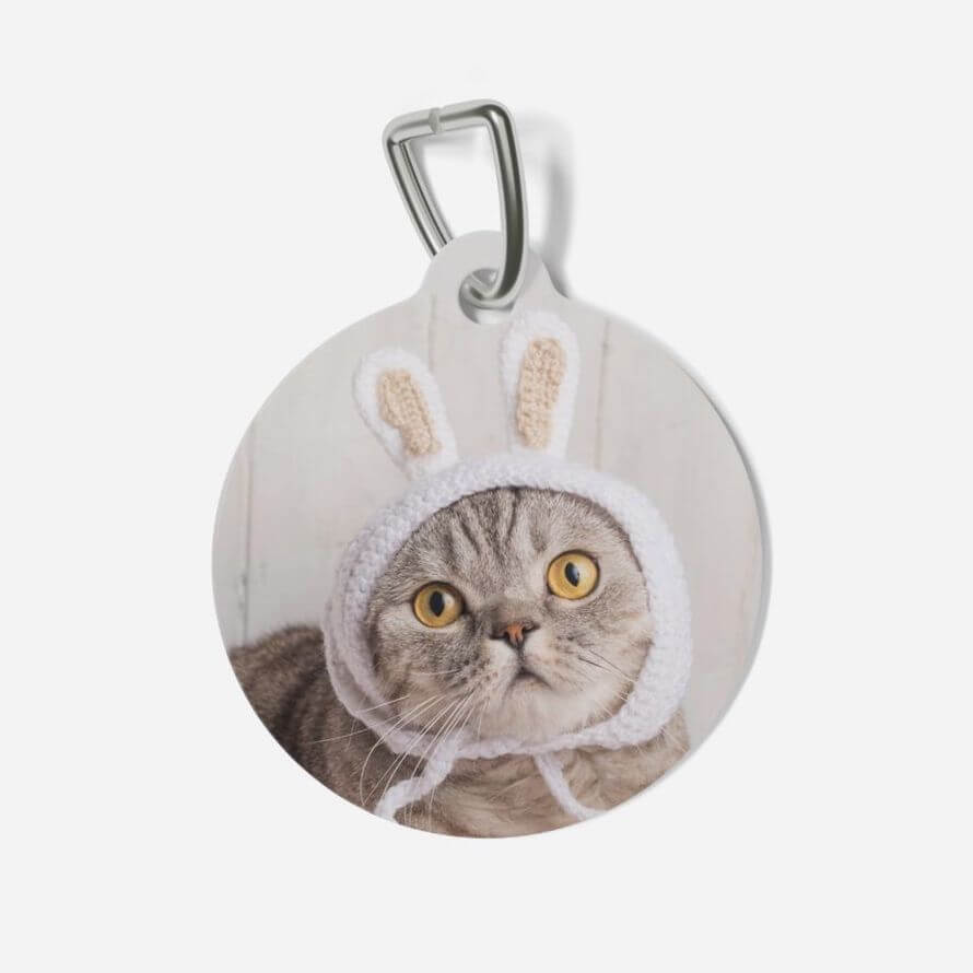 Custom Pet Tags – Design & Sell With No Upfront Cost