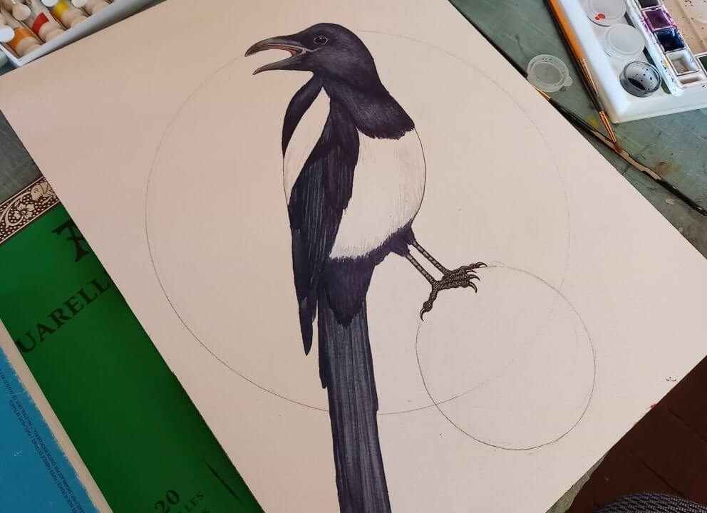 Bazil Raven